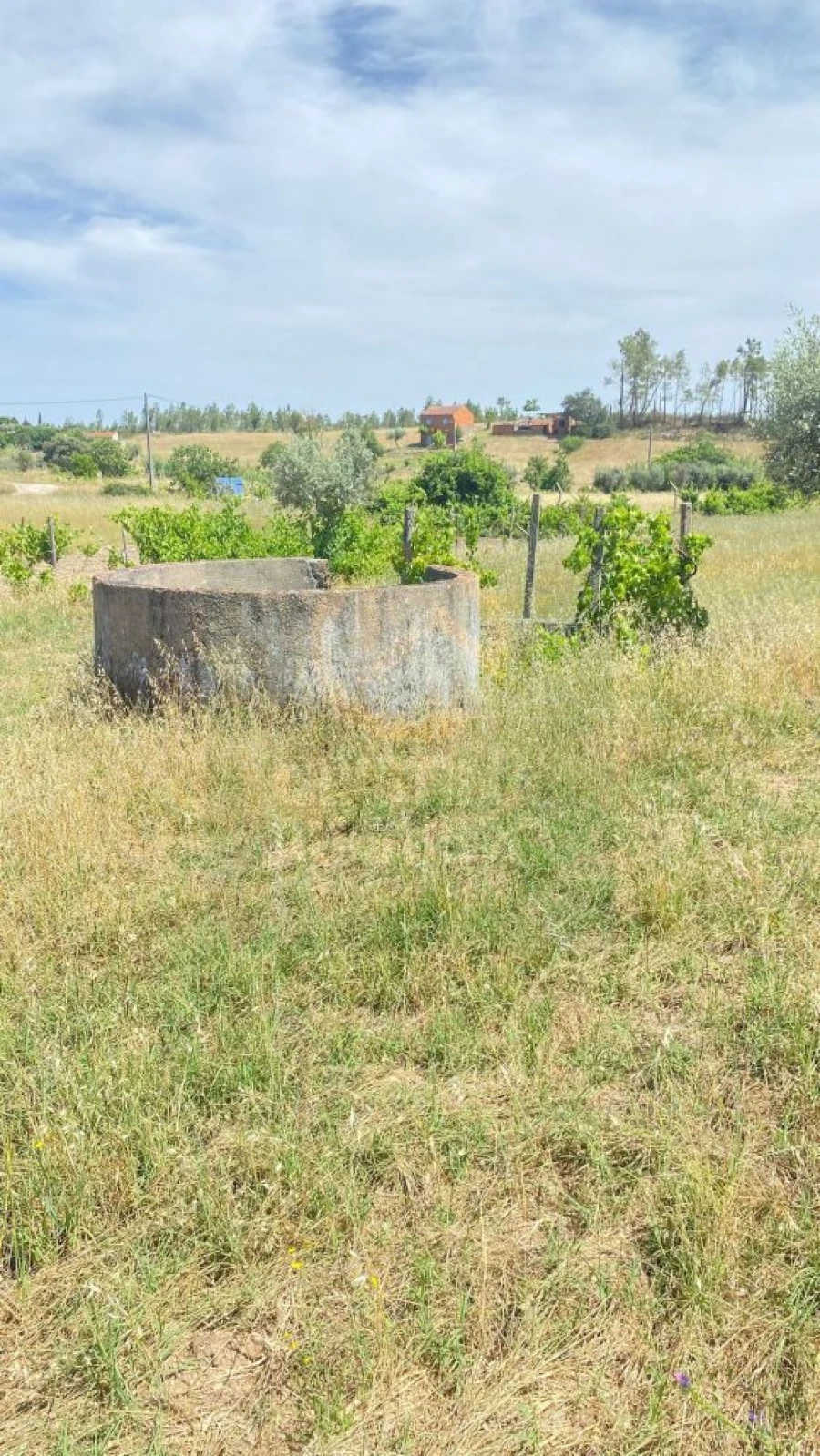 Terreno para Venda em Sarzedas Foto 5
