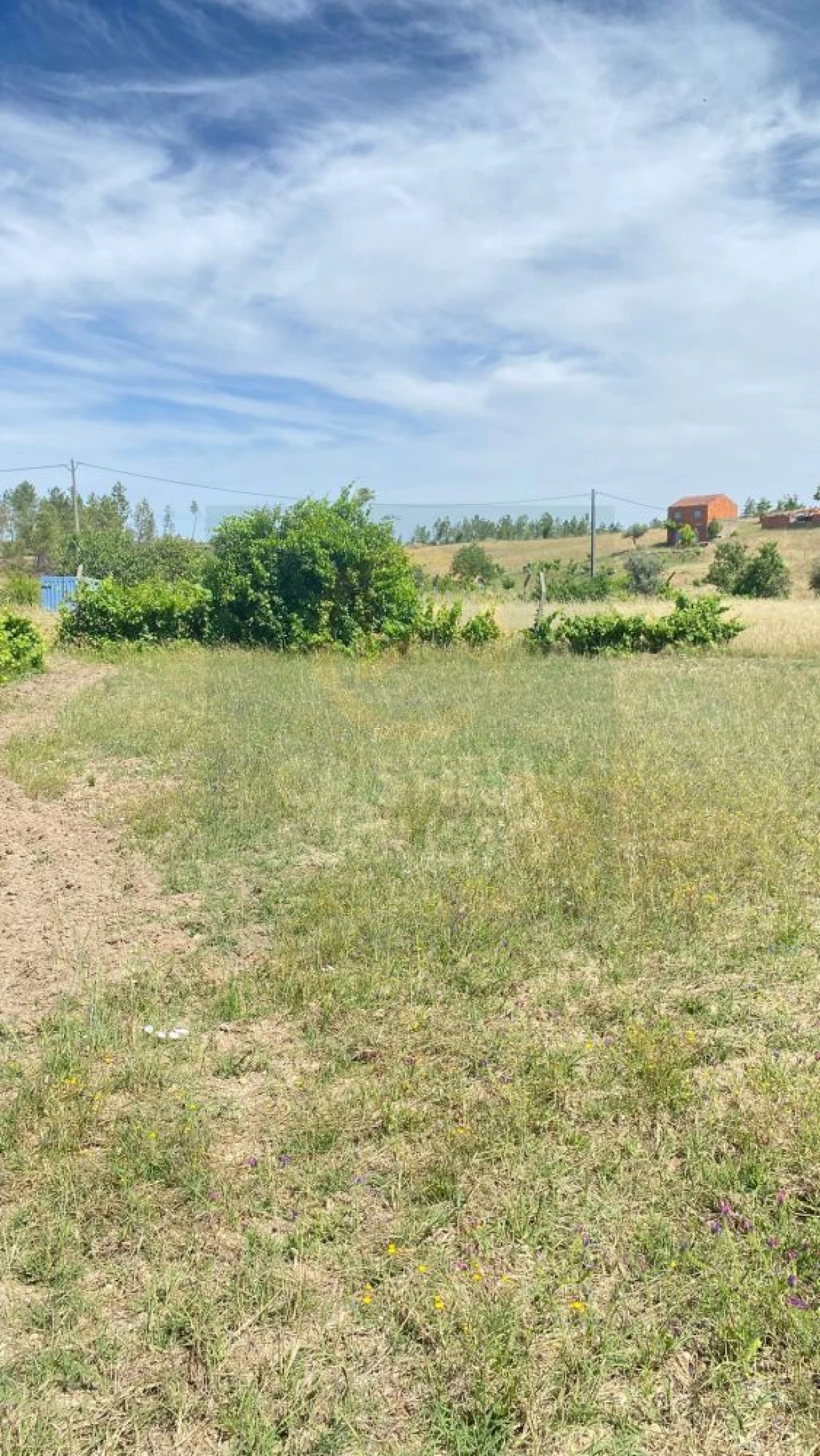 Terreno para Venda em Sarzedas Foto 3