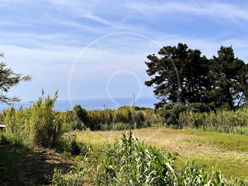 Terreno para Venda em Colares Foto 1