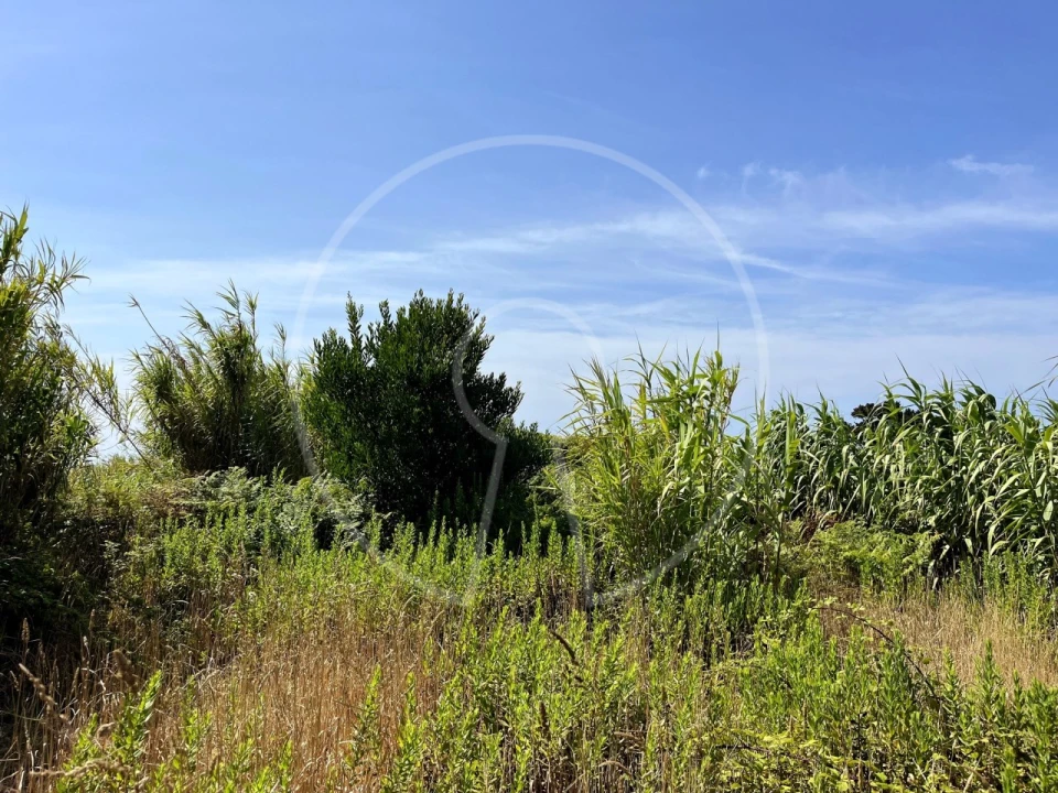 Terreno para Venda em Colares Foto 3
