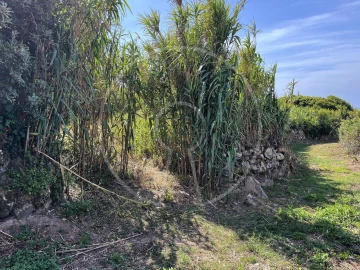Terreno para Venda em Colares