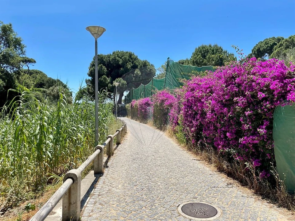 Moradia T3 para Arrendamento em Albufeira e Olhos de Água Foto 35