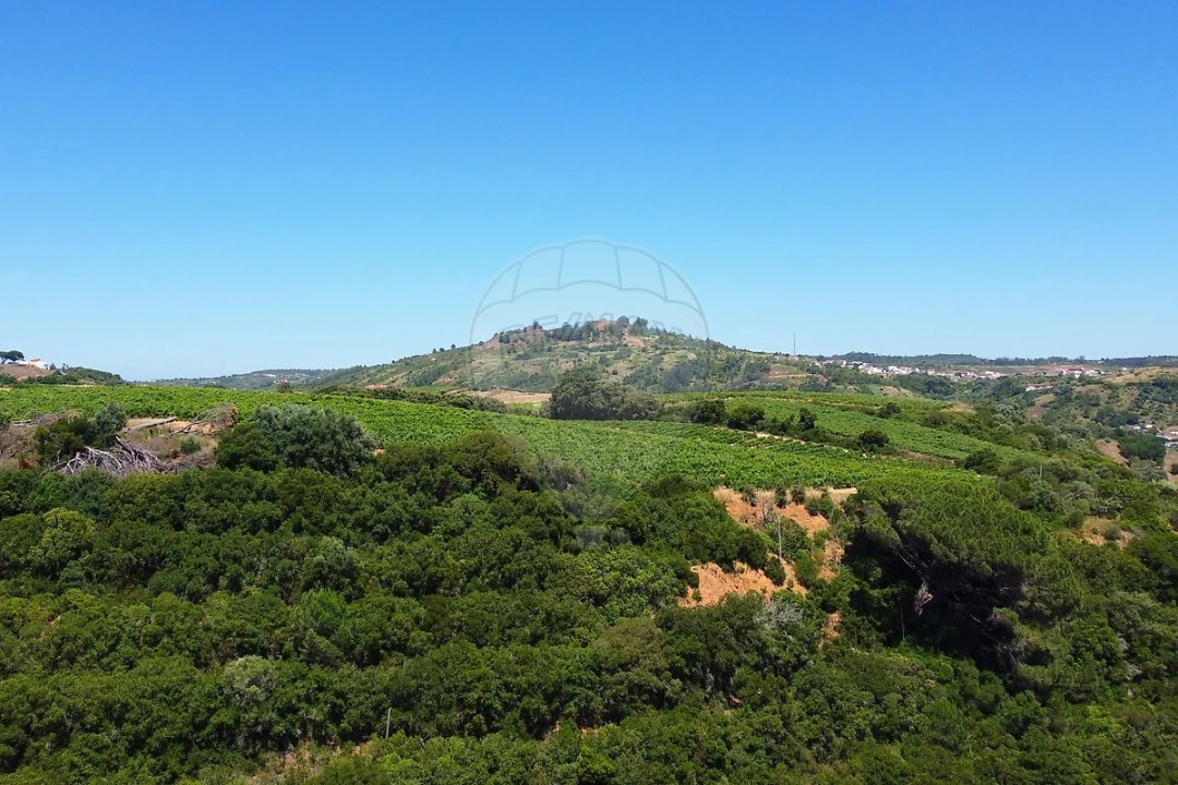 Moradia T3 para Venda em Aldeia Galega da Merceana e Aldeia Gavinha Foto 25