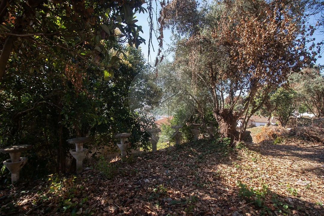 Moradia T10 para Venda em Alenquer (Santo Estêvão e Triana) Foto 22