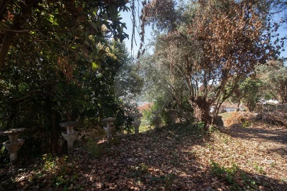 Moradia T10 para Venda em Alenquer (Santo Estêvão e Triana)