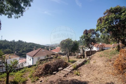Moradia T10 para Venda em Alenquer (Santo Estêvão e Triana)