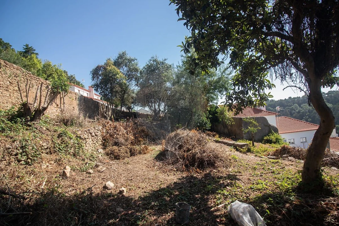 Moradia T10 para Venda em Alenquer (Santo Estêvão e Triana) Foto 20