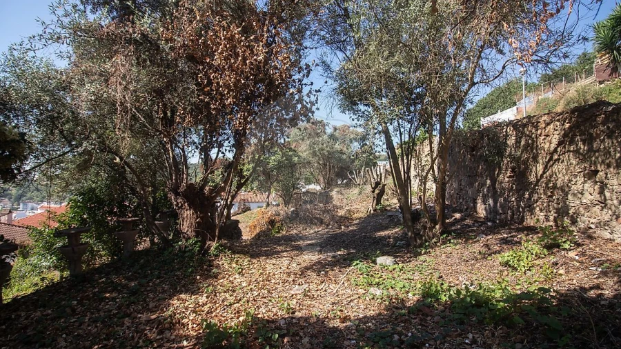 Moradia T10 para Venda em Alenquer (Santo Estêvão e Triana)