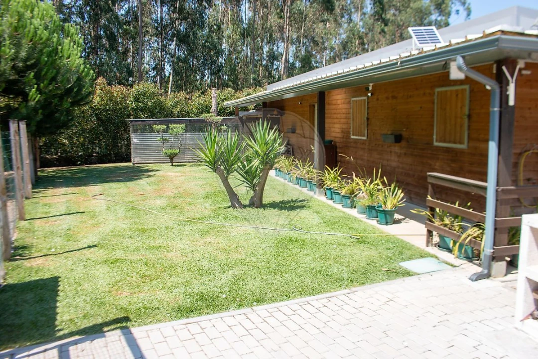 Moradia T4 para Venda em Bustos, Troviscal e Mamarrosa Foto 19