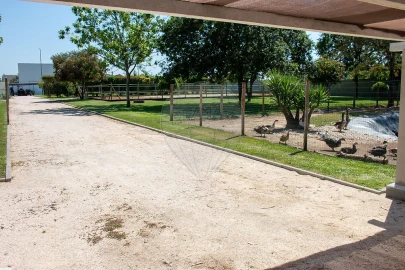 Moradia T4 para Venda em Bustos, Troviscal e Mamarrosa
