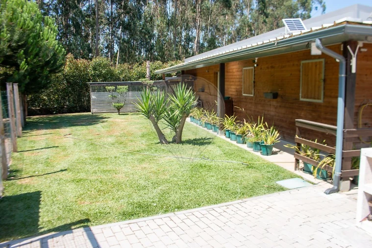 Moradia T4 para Venda em Bustos, Troviscal e Mamarrosa Foto 19