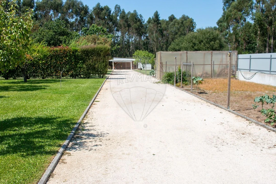Moradia T4 para Venda em Bustos, Troviscal e Mamarrosa Foto 15