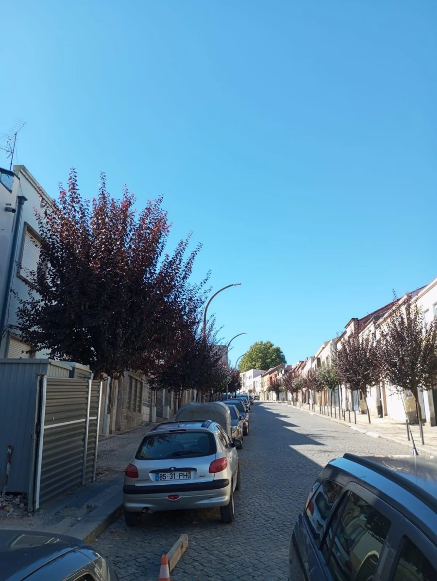 Negócio para Arrendamento em São Vicente (Braga) Foto 16