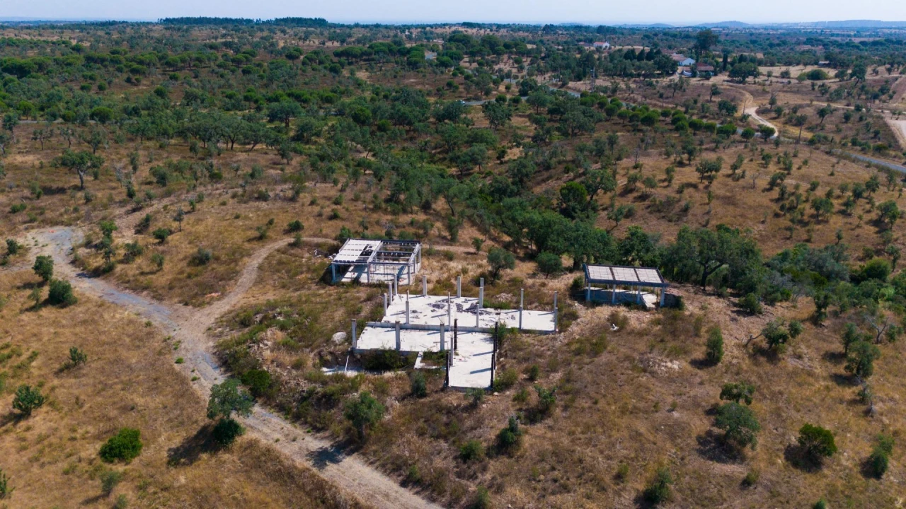 Terreno Agricola ou Rústico para Venda em Abela Foto 4