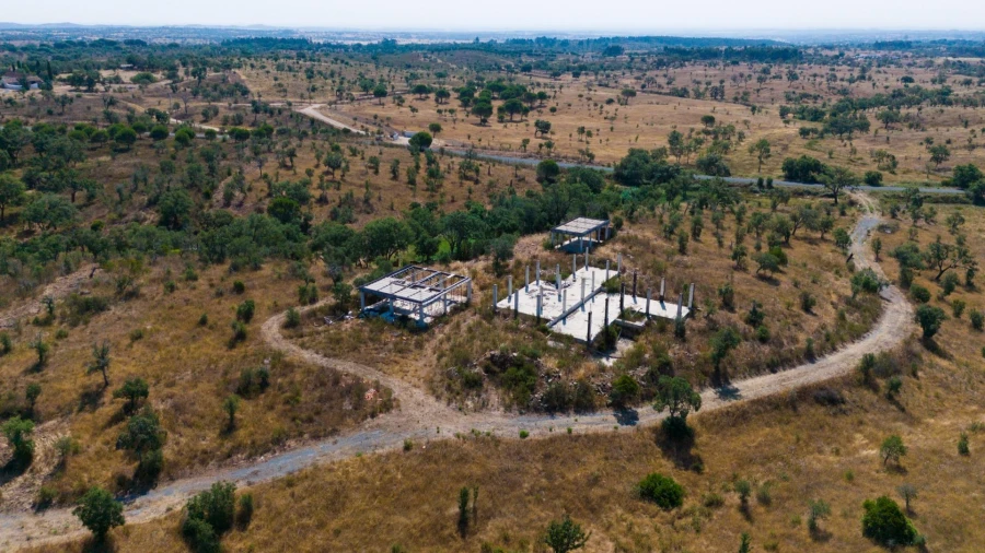 Terreno Agricola ou Rústico para Venda em Abela Foto 2