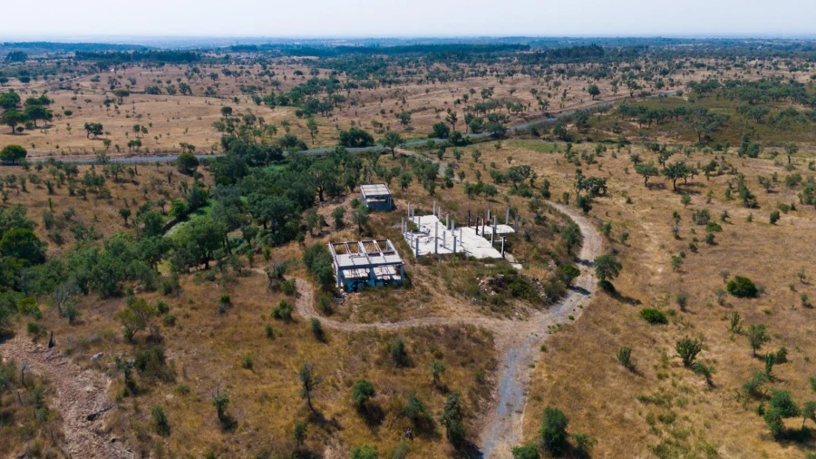 Terreno Agricola ou Rústico para Venda em Abela Foto 3