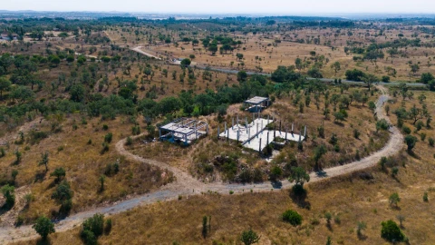 Terreno Agricola ou Rústico para Venda em Abela