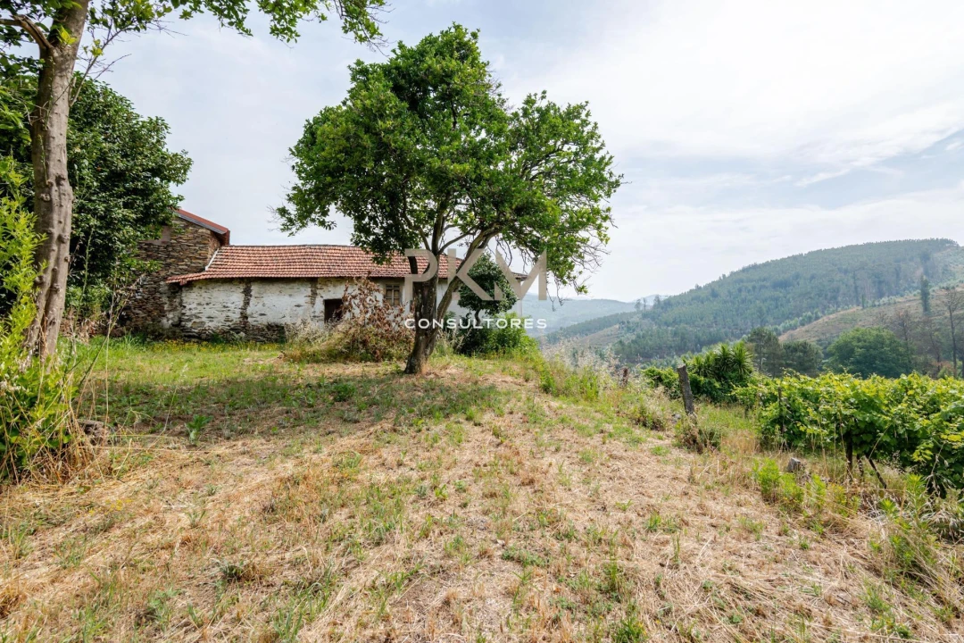 Moradia T7 para Venda em Telões Foto 25