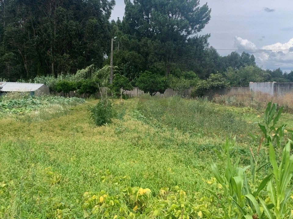 Terreno para Venda em Cacia Foto 3