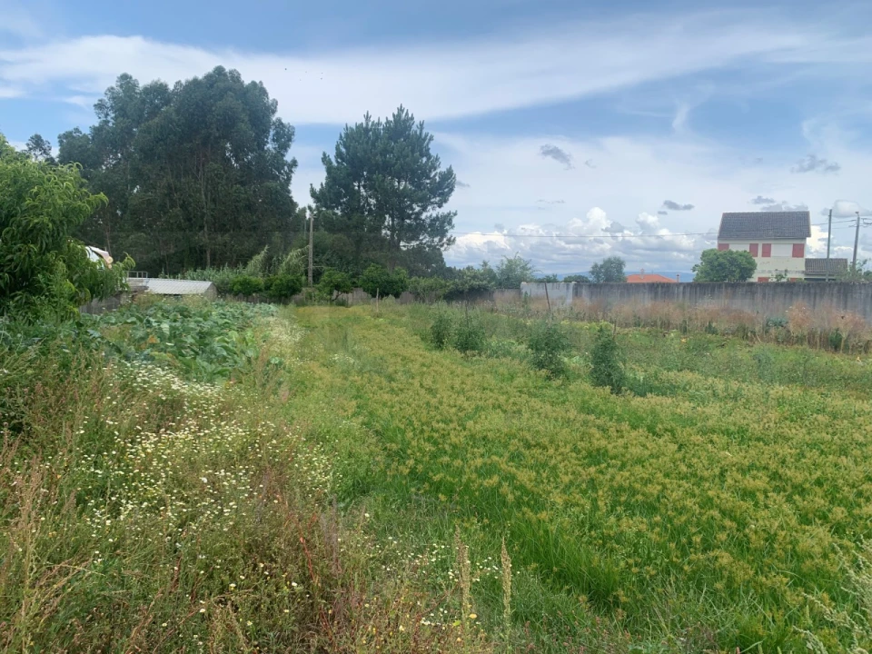 Terreno para Venda em Cacia Foto 4