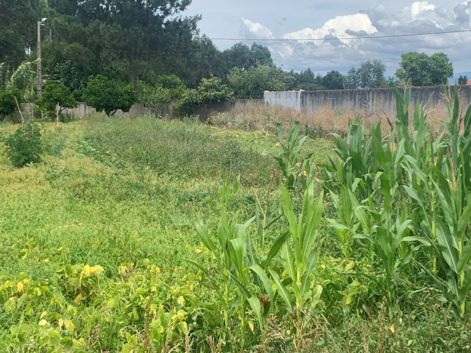 Terreno para Venda em Cacia Foto 6