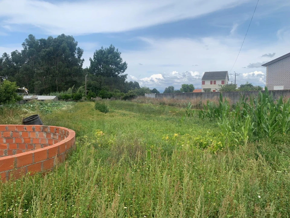 Terreno para Venda em Cacia Foto 8