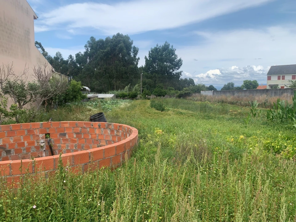 Terreno para Venda em Cacia Foto 9