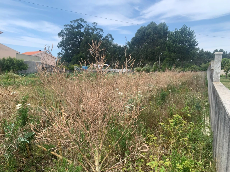 Terreno para Venda em Cacia Foto 10