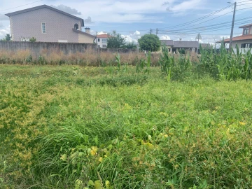 Terreno para Venda em Cacia