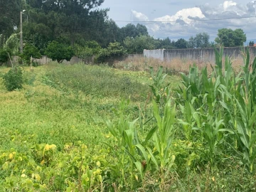 Terreno para Venda em Cacia