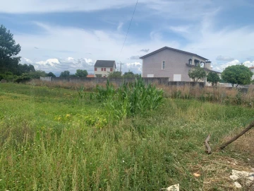 Terreno para Venda em Cacia