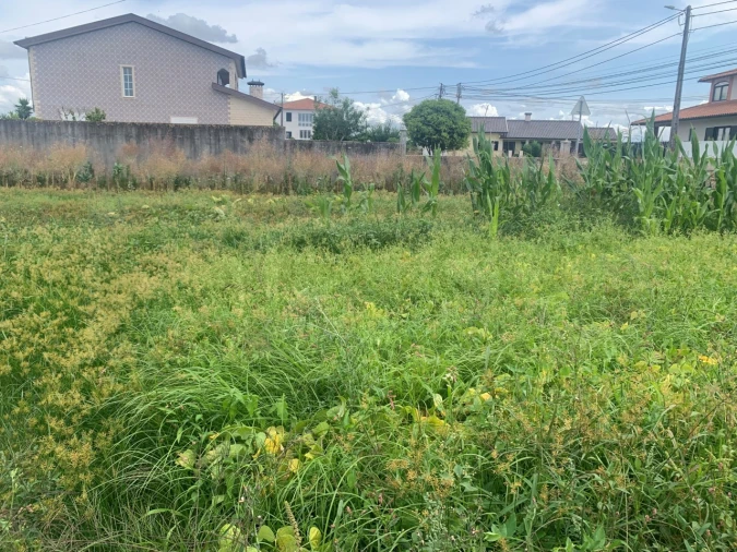 Terreno para Venda em Cacia Foto 5