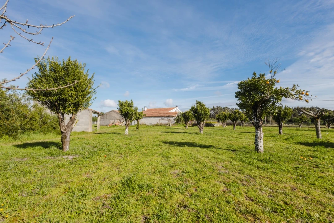 Moradia T3 para Venda em Tavarede Foto 3
