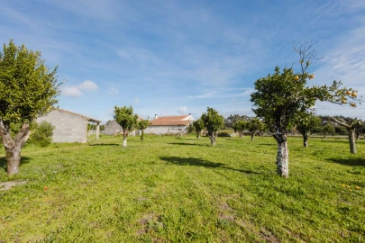 Moradia T3 para Venda em Tavarede