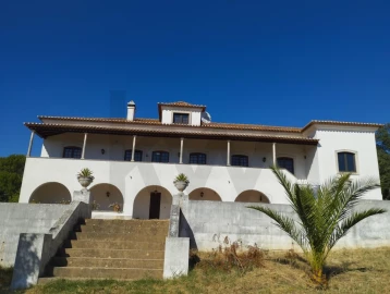 Moradia T6 para Venda em Chamusca e Pinheiro Grande