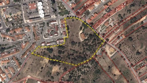 Moradia T6 para Venda em Chamusca e Pinheiro Grande