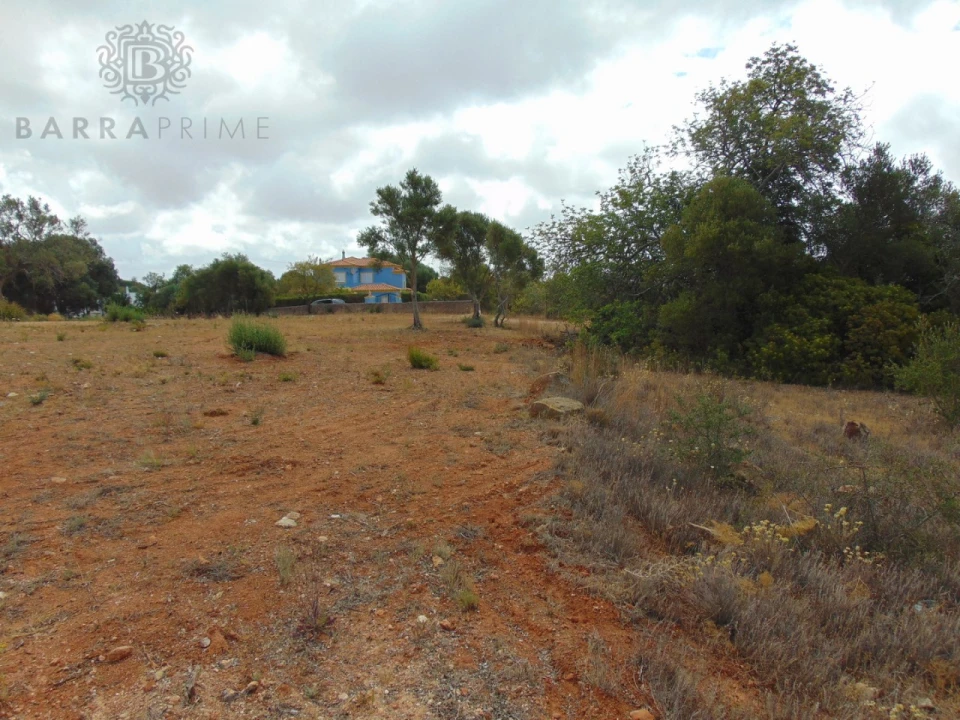 Terreno para Venda em Almancil Foto 5