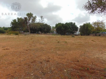 Terreno para Venda em Almancil