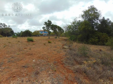 Terreno para Venda em Almancil