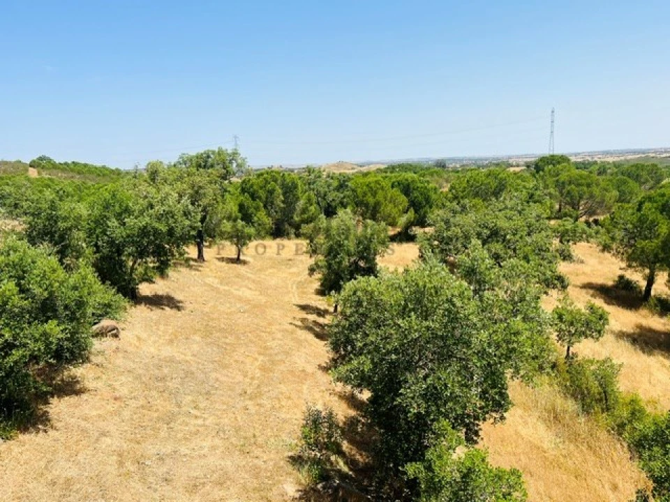Quinta T4 para Venda em Ourique Foto 31