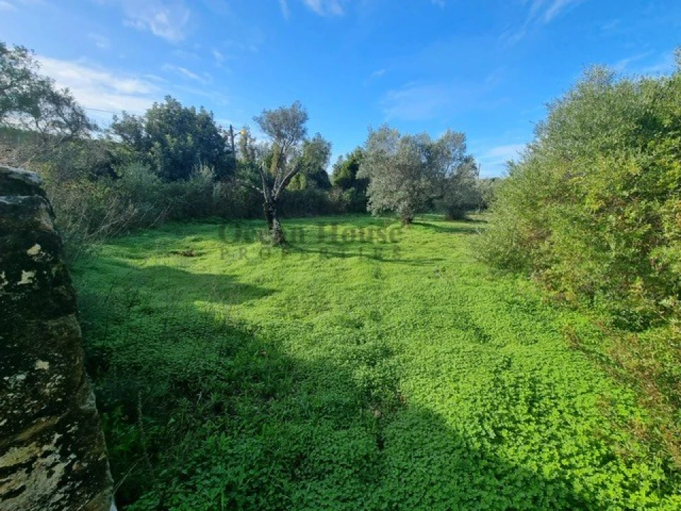 Terreno para Venda em Querença, Tôr e Benafim Foto 5