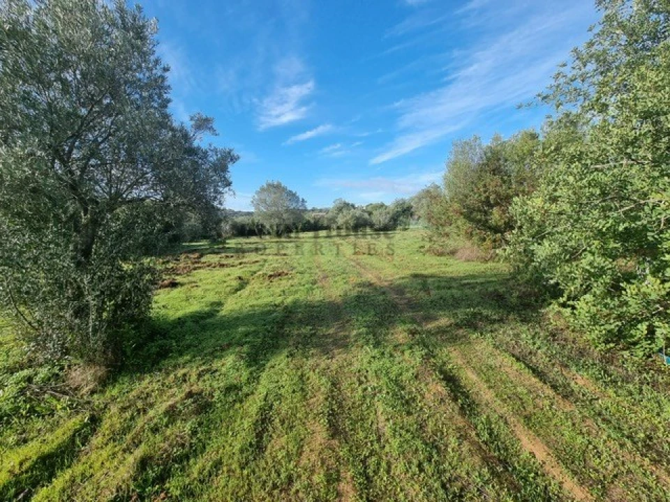Terreno para Venda em Querença, Tôr e Benafim Foto 7