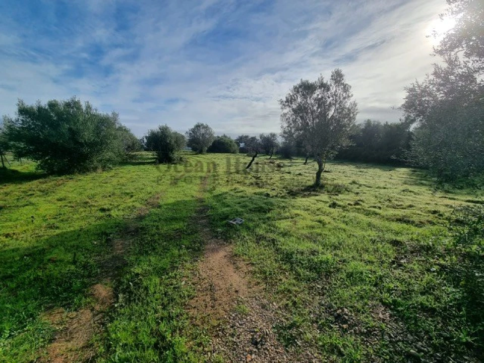 Terreno para Venda em Querença, Tôr e Benafim Foto 8
