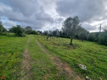 Terreno para Venda em Querença, Tôr e Benafim