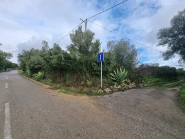 Terreno para Venda em Querença, Tôr e Benafim