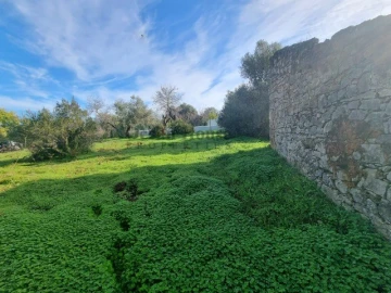 Terreno para Venda em Querença, Tôr e Benafim