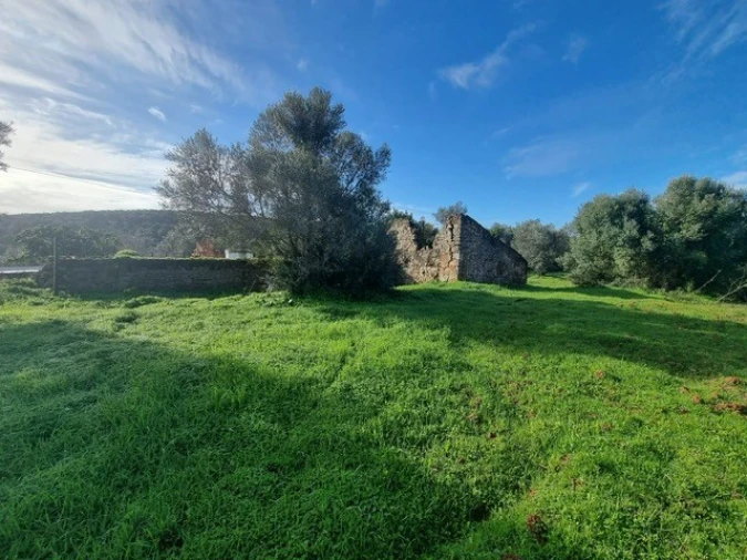 Terreno para Venda em Querença, Tôr e Benafim Foto 2