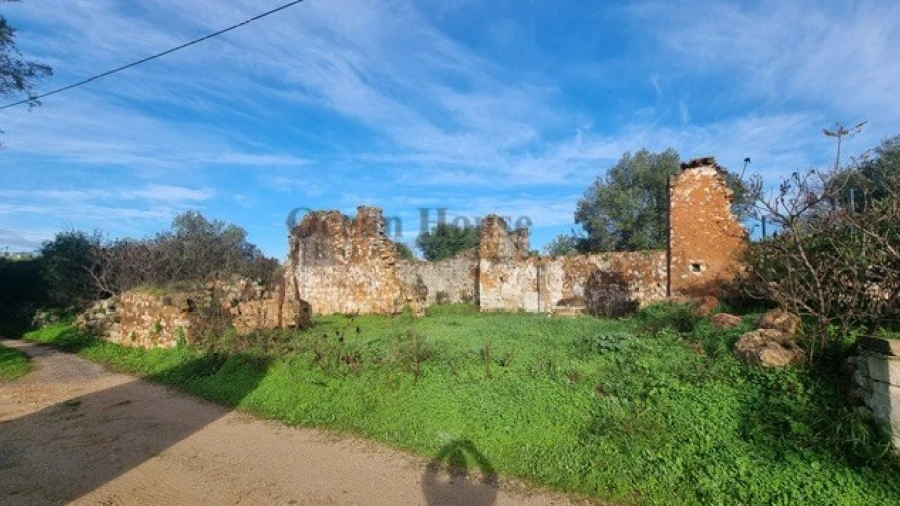 Terreno para Venda em Querença, Tôr e Benafim