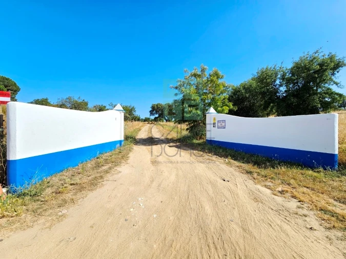 Quinta T5 para Venda em Garvão e Santa Luzia Foto 11