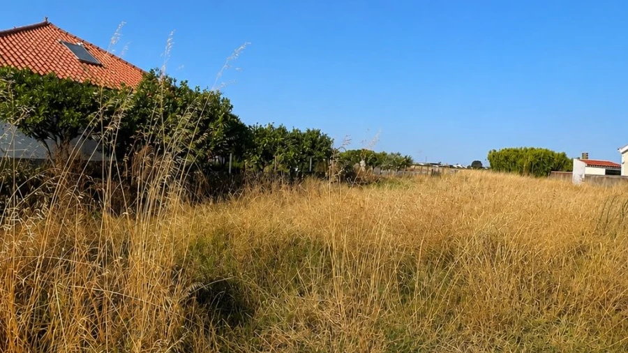 Terreno para Venda em Samouco